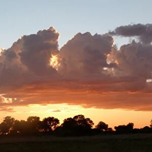 Clouds over wetland habitat at sunset, Okavango Delta, Botswana
