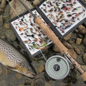 Fly fishing, Brown Trout (Salmo trutta) catch with rod and fly box, on machair loch, South Uist, Outer Hebrides