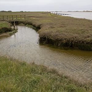 Havergate Island east side, looking over saltmarsh habitat and the Narrows. - Suffolk