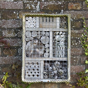 Invertebrate refuge fixed to brick wall, Norfolk, England, August