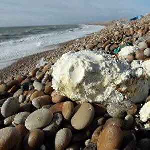 Rancid vegetable oil washed up on beach, Chesil Beach, Dorset, England, February