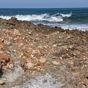 Salt forming on rocks after evaporation of sea water, Les Rotes Beach, Denia, Marina Alta, Costa Blanca