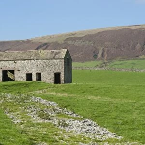 Stone barn in pasture with distant fell, near Slaidburn, Lancashire, England, october