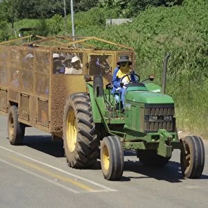 Tractor transporting farm workers in trailer, Swaziland