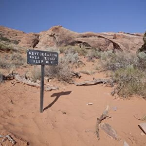 Trying to protect the delicate habitat of Arches National Park, walking on the sand can easily destroy the vegetation
