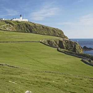 View of clifftop pasture and distant lighthouse, Sumburgh Head RSPB Reserve, Mainland, Shetland Islands, Scotland