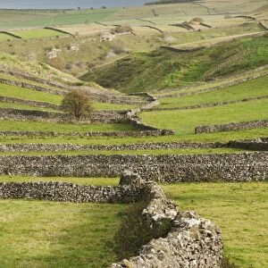 View of drystone walls and pastures, Litton, Peak District N. P. Derbyshire, England, October