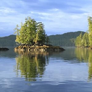 View of islet and temperate coastal rainforest in evening, Lama Passage, Inside Passage, Coast Mountains