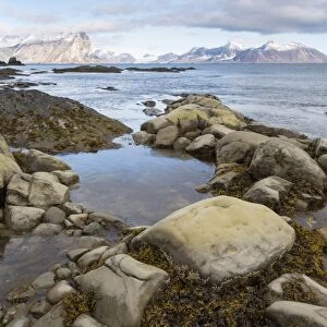 View of rocky fjord coastline with distant mountains, Hornsund, Spitsbergen, Svalbard, August