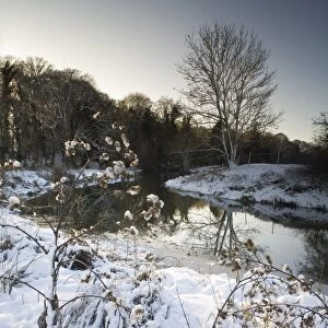 View of snow covered riverbank, River Gipping, Bramford, Suffolk, England, december