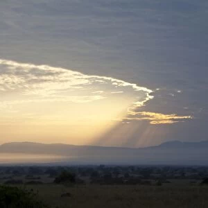 View of sunbeams over savannah landscape at sunrise, Queen Elizabeth N. P. Uganda