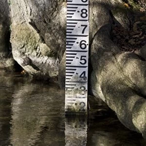Water level depth marker in chalk stream, River Piddle, Dorset, England, november