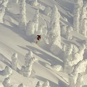 Alpine Skier in thick snowghosts at Big Mountain Resort in Whitefish, Montana. (MR)