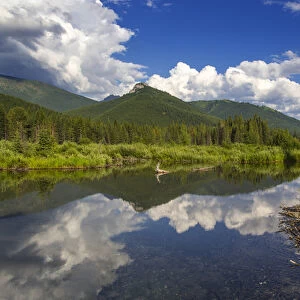 Beaver pond along the Flathead River near Fernie, British Columbia, Canada