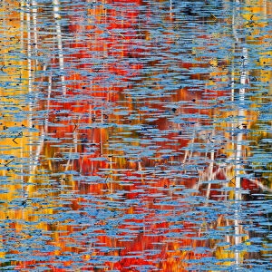 Canada, Ontario, Minden. Autumn-colored tree reflect in pond of water lilies. Credit as