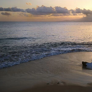 Caribbean, Puerto Rico, Vieques Island. Sunset at Green Beach