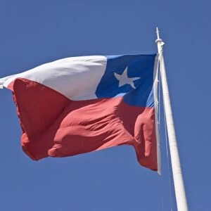 Chile, Patagonia, Punta Arenas. Chilean flag waves against blue sky