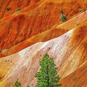 Colorful Bryce Point, Bryce Canyon National Park, Utah
