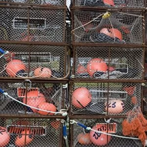Crab pots and bait bags, Kodiak, Alaska