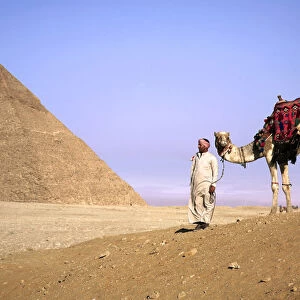 Egypt, Cairo, Giza, A proud Egyptian man guides his camel in front of the Great Pyramids
