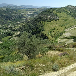 Europe, Greece, Crete (aka Kriti). Countryside views of fertile farmland