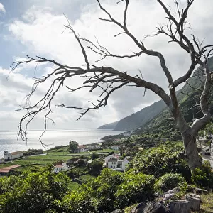 Faja dos Vimes. Sao Jorge Island, Azores, Portugal