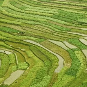 Farmland by the Three Gorges of the Yangtze River, China