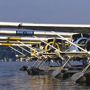 Float planes (sea planes) at dock, Lake Washington, Washington