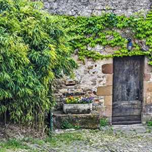 France, Cordes-sur-Ciel. Wooden doorway in vine covered stone wall