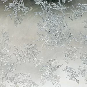 Frost pattern on window