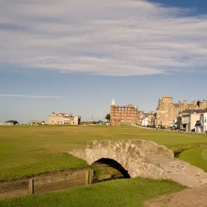 Popular Themes Collection: St Andrews