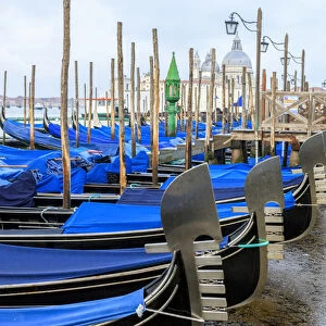 Gondola lineup. Venice. Italy