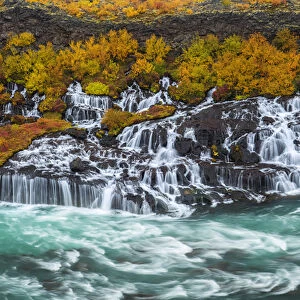 Iceland, Hraunfossar. Autumn waterfalls flow into river