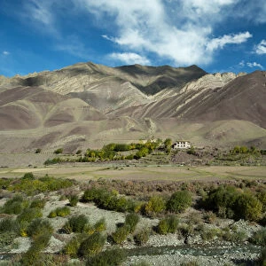 India, Ladakh, Markha Valley, typical ladakhi house in Shang Sumdo