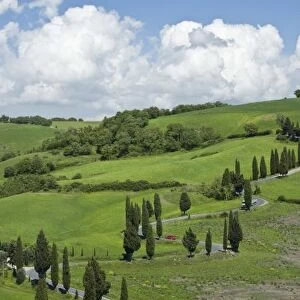 Italy, Tuscany. La Foce. A curved road winds up the hillside past hay fields