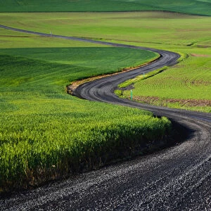 A landscape of winding road in Pullman Washington State