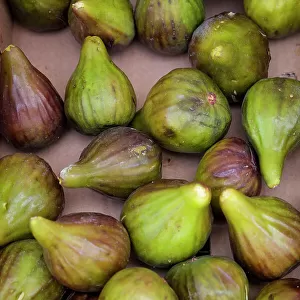 Lisbon, Portugal. Fresh figs at market