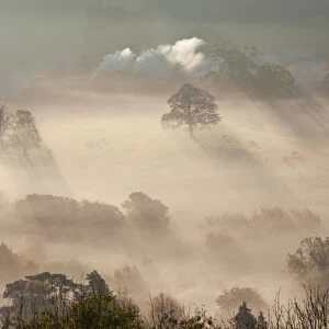 Misty autumn morning, Uley, Gloucestershire, UK