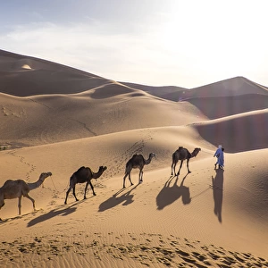 Morocco, Erg Chegaga (or Chigaga) is a Saharan sand dune (approximately 40 km to 15 km wide)