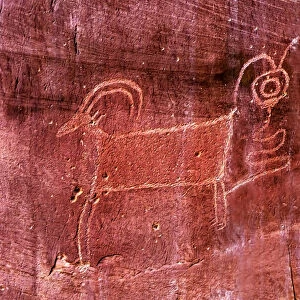 Native American Indian Fremont Sheep Goat Petroglyph Sandstone Mountain Capitol Reef