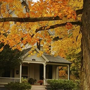 North America, USA, Massachusetts, Amherst. Autumn leaves framing the front porch of an old house