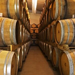 Oak barrels with fermenting wine. Champagne house Maison Giraud-Hemart, also called