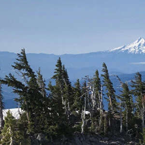Oregon, Mount Hood. Mount Hood seen from Mount Adams
