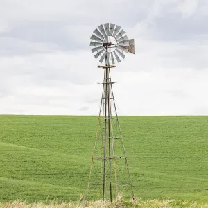 Palouse, Washington State, USA. Windmill in wheat field in the Palouse hills