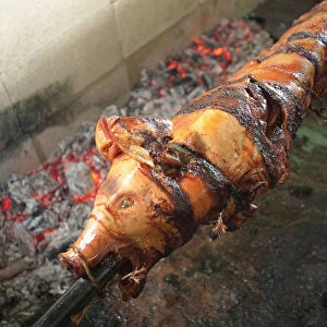 Pig Roast over pit barbeque, Old San Juan