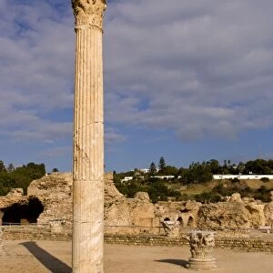 Pillar of Carthage Tunisia old city with Roman baths of Antoninus Pius in 138 AC