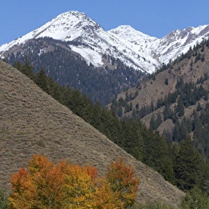 The Pioneer Mountains near Sun Valley, Idaho, USA