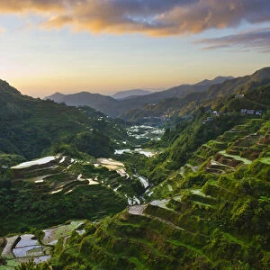 The Rice Terraces of the Philippine Cordilleras, UNESCO World Heritage site, Banaue