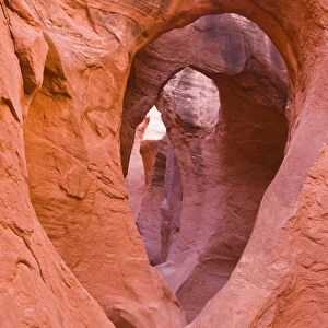 Sandstone formations in Peek-a-boo Gulch, Grand Staircase-Escalante National Monument