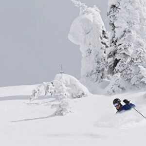Skiing deep powder at Whitefish Mountain Resort in Montana. (MR)